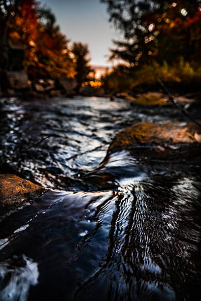 istock Beautiful mountain river in Ontario - Canada 621244788
