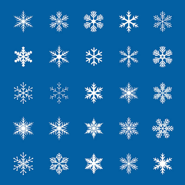 kolekcja białych płatków śniegu wektorowych. - ice stock illustrations