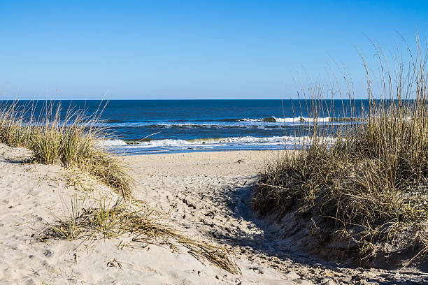 sandbridge beach a virginia beach, virginia con erba sulle dune - tourist resort horizon over water usa virginia foto e immagini stock