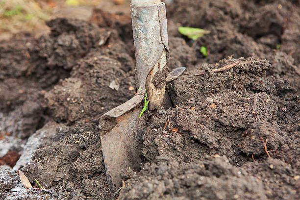 istock Shovel in the ground 621247470