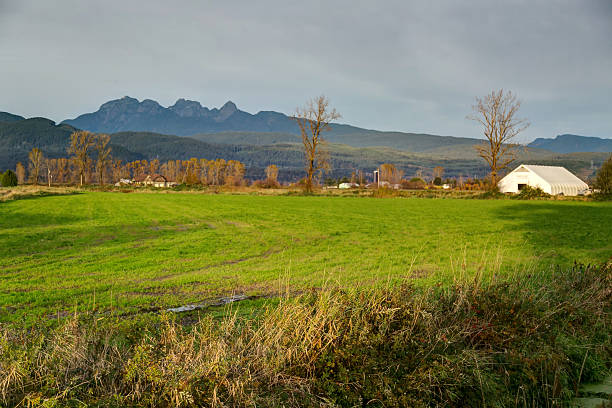istock farm landscape with mountains in the background 621247508