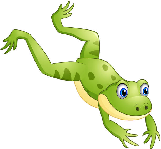 ilustrações, clipart, desenhos animados e ícones de desenho animado de sapo bonito saltando - leapfrog