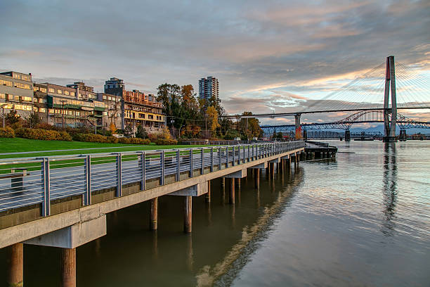 riverbank in an early morning riverbank in an early morning new westminster stock pictures, royalty-free photos & images