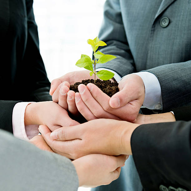 istock Business team holding plant together 621247962