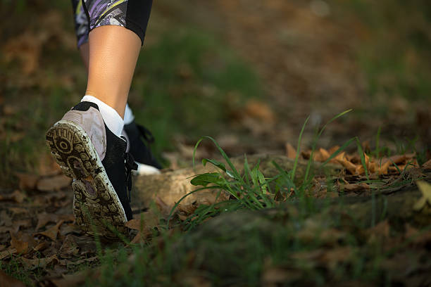 istock Woman feet in shoes on a forest path on sunset 621248702
