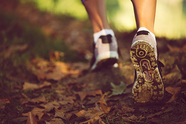 femme pieds en chaussures sur un chemin forestier au coucher du soleil - jogging walking footpath women photos et images de collection