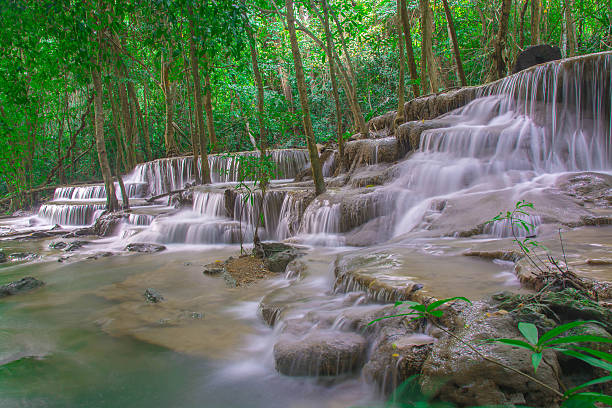 istock beautiful waterfall and green forest Resting Place and relax tim 621250740