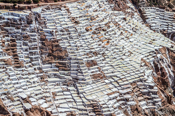 Salt Production at Brazil's Northeast region