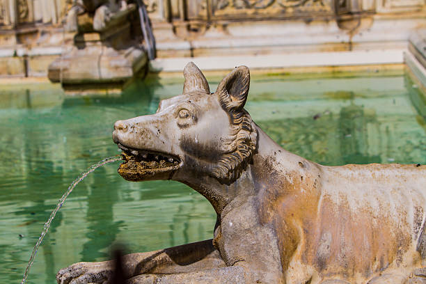 istock Source Gaia at Piazza del Campo in Siena 621251450