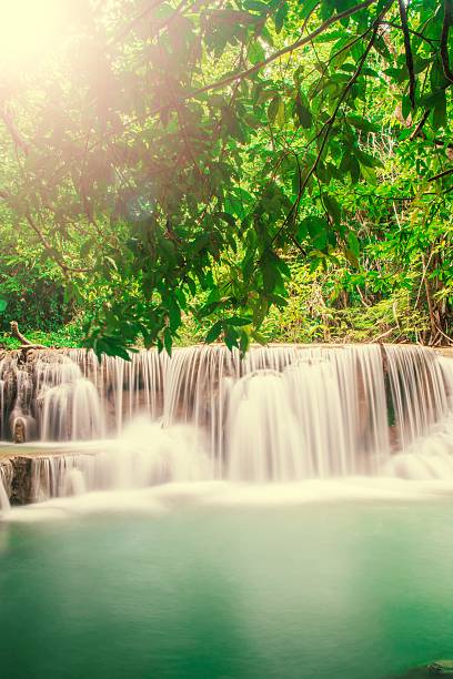 istock waterfall and green forest Resting Place and relax time 621251536