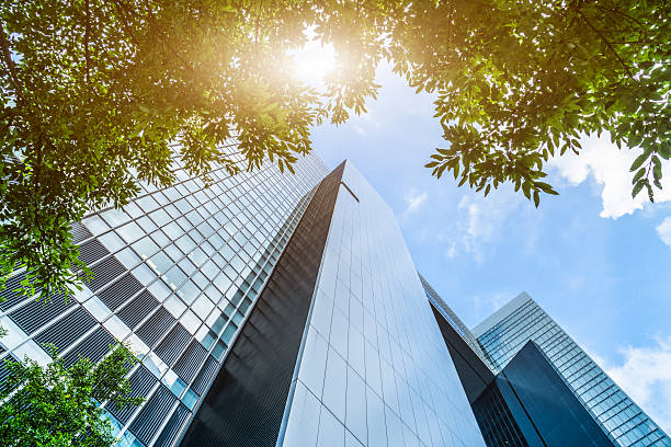 istock modern glass building and green tree 621252790