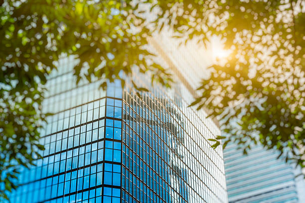 istock modern glass building and green tree 621252882