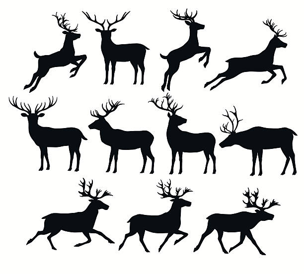 ilustraciones, imágenes clip art, dibujos animados e iconos de stock de conjunto de siluetas de ciervo - reindeer