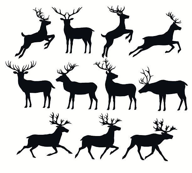 stockillustraties, clipart, cartoons en iconen met set of deer silhouettes - echte herten