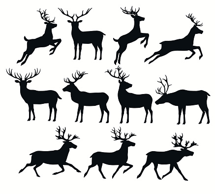 Set of deer silhouettes isolated on white, EPS 8.