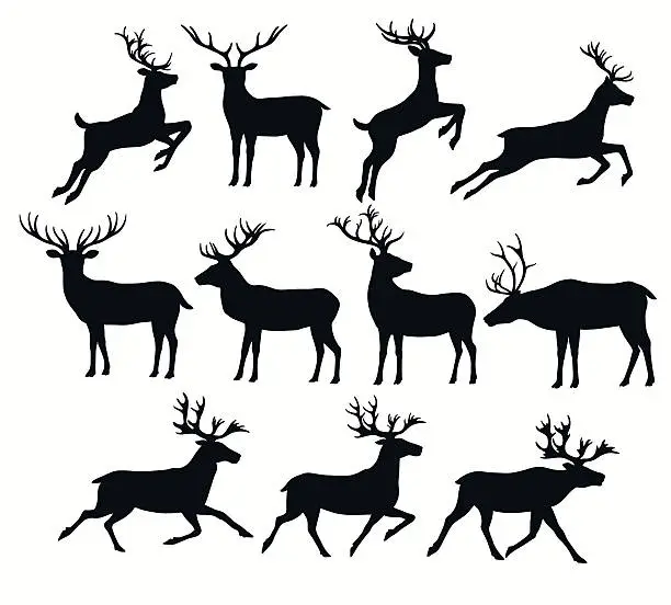 Vector illustration of Set of deer silhouettes