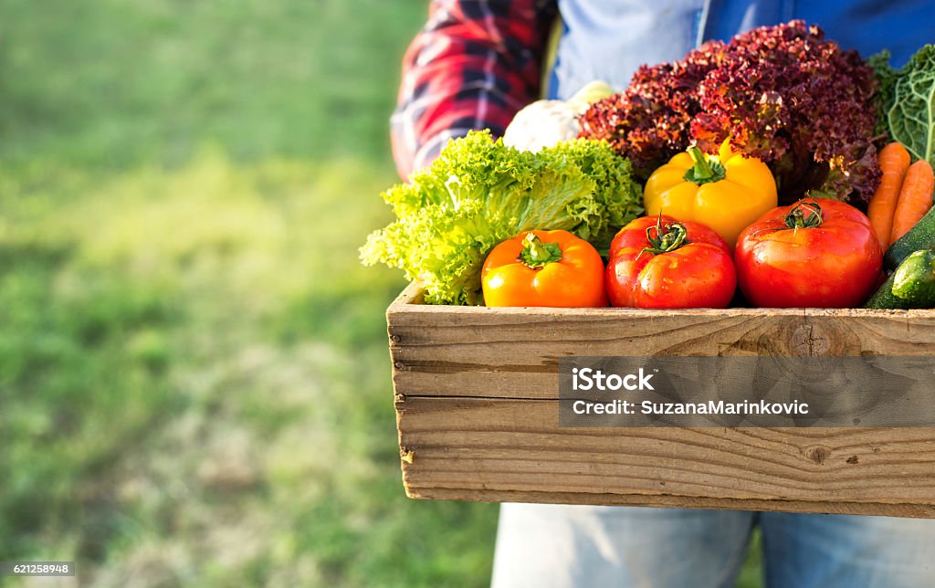 新鮮な有機野菜と箱を持つ農家 - ファーマーズマーケットのロイヤリティフリーストックフォト