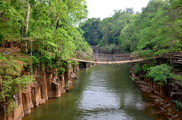 istock Wooden with bamboo bridge for cross over stream river 621259358