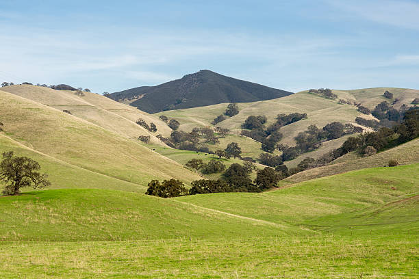 Mt Diablo State Park Nature Fall Day in Mt. Diablo State Park, Contra Costa County, California, USA. contra costa county stock pictures, royalty-free photos & images