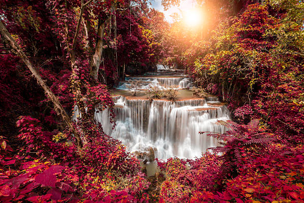 huay mae kamin 워터풀  - awe beauty in nature waterfall cool 뉴스 사진 이미지