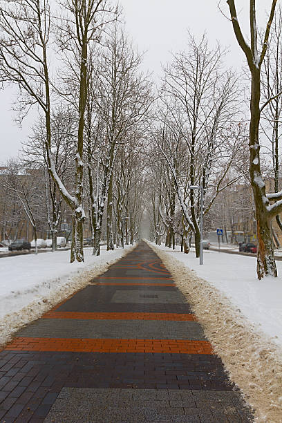 istock Footpath in a fabulous winter city park 621266268