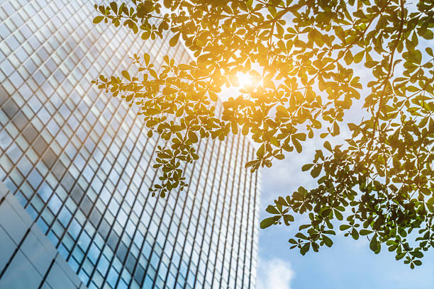 istock modern glass building and green leaves against sunbeam 621266486