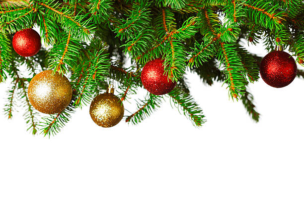 istock Branch of Christmas tree 621272522