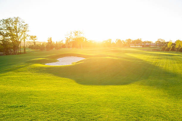 istock Green grass and sunshine. 621272678