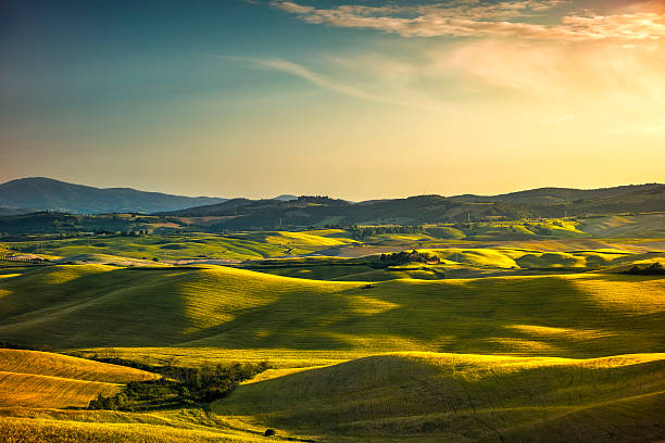 istock Tuscany spring, rolling hills and green fields on sunset. Rural 621272736