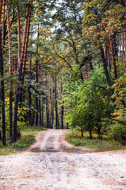 istock Beautiful autumn park in Kyiv, Ukraine 621274202