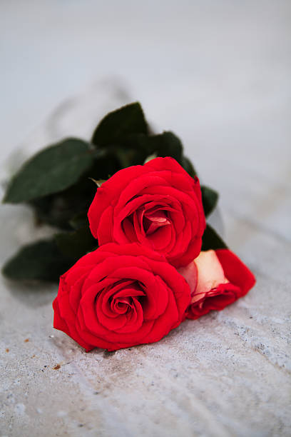 istock red roses on wooden Board 621274312