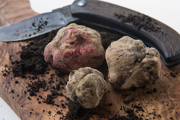 Alba white truffle Alba white truffle tuber on wood board and truffle's knife tartuffo stock pictures, royalty-free photos & images