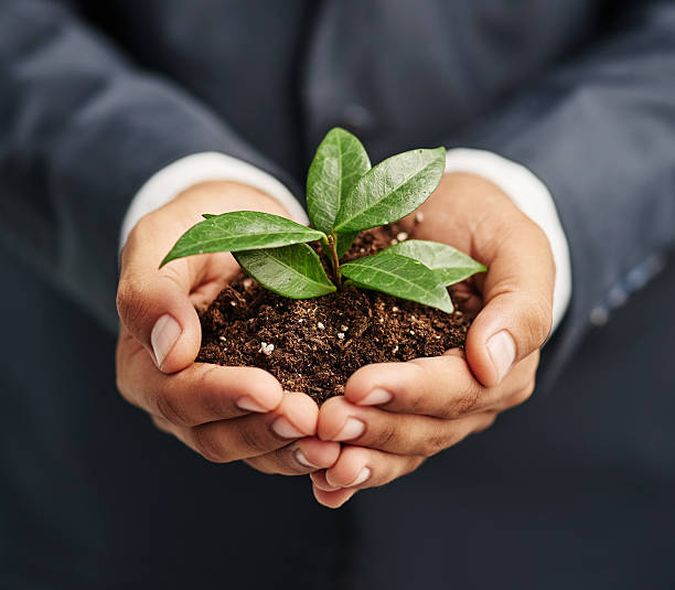 istock Nurturing sustainable growth in business 621349752