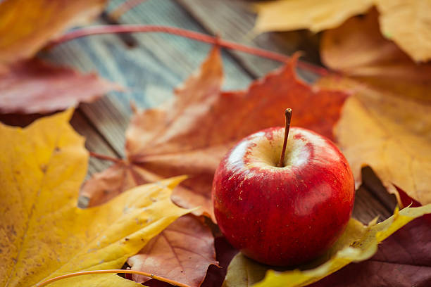 istock Red autumn apples with maple leaves on wooden table 621351946