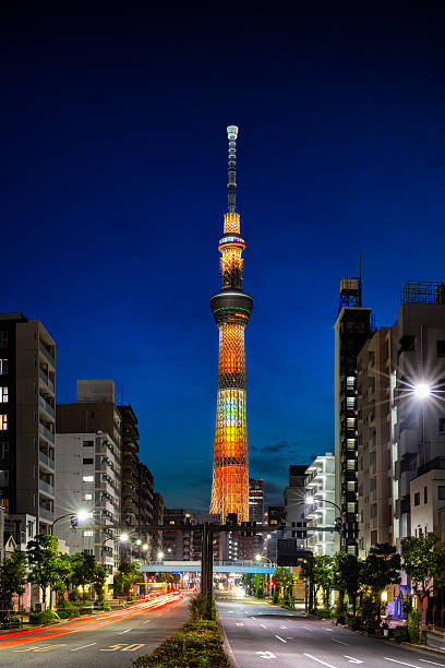 istock Tokyo cityscape at night 621352524