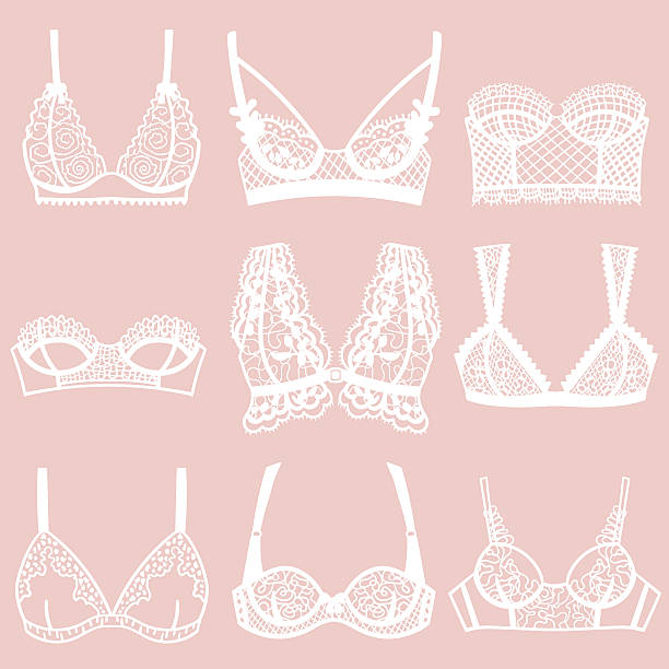 Collection of lingerie. Bra set. Collection of lingerie. Bra set. Vector illustrations bra stock illustrations