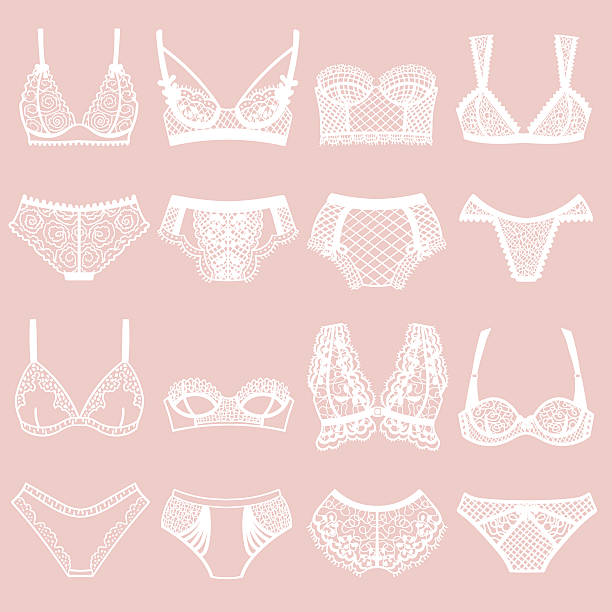 Collection of lingerie. Panty and bra set. - ilustração de arte vetorial