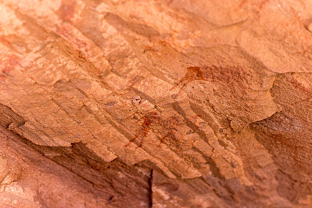 istock Prehistoric rock engravings at Twyfelfontein, Namibia 621358608