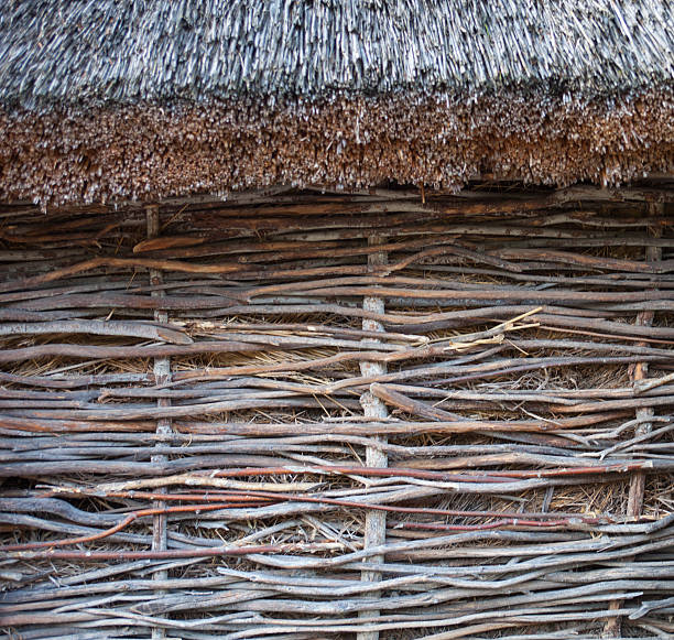 istock Wattle wall of the thatched shed 621359180