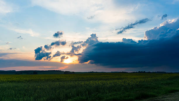 istock Evening countryside landscape with blooming rape 621359706