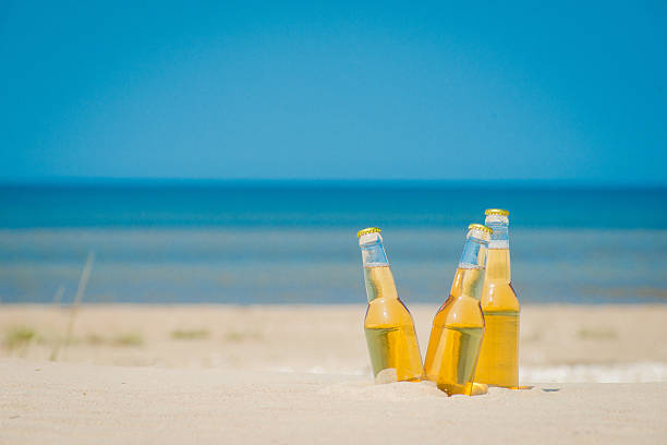 istock Ice cold beer bottles in the sand under the sun 621360510