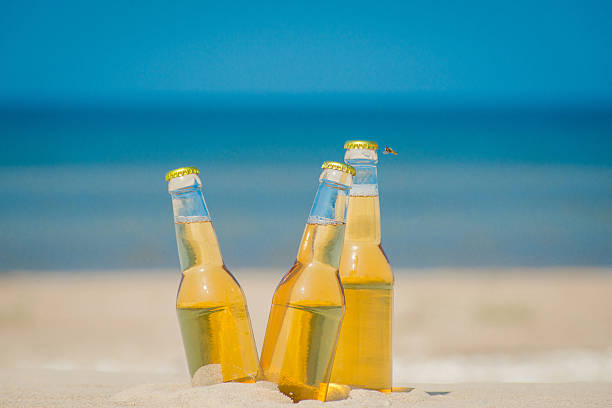 istock Ice cold beer bottles in the sand under the sun 621360612