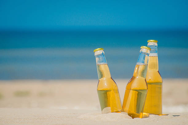 istock Ice cold beer bottles in the sand under the sun 621360736