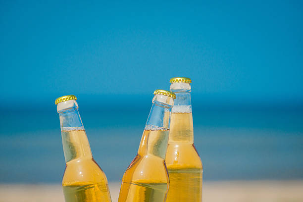 istock Ice cold beer bottles in the sand under the sun 621360846