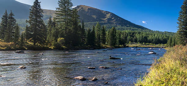 istock River in the Altai mountains, Russia 621361382