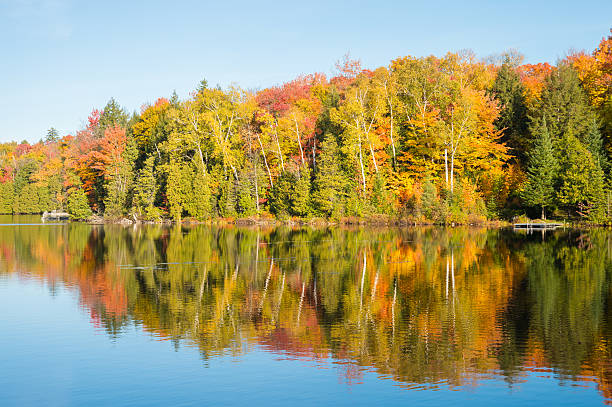 istock Autumn colors in Quebec, Canada 621365350