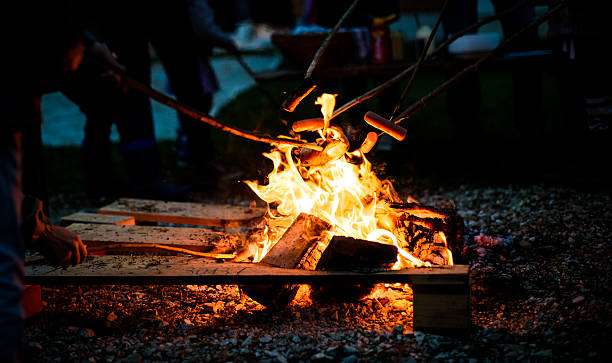 istock Making and cooking Hot dog sausages over open camp fire. 621365398