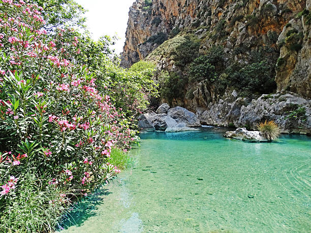 istock lagoon in mountains gorge on Crete island Greece 621365930