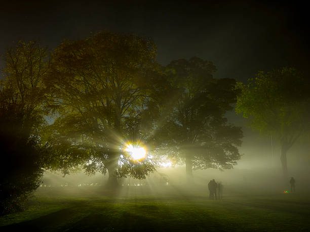 istock Photograph of bright light through trees looking like a UFO 621366874