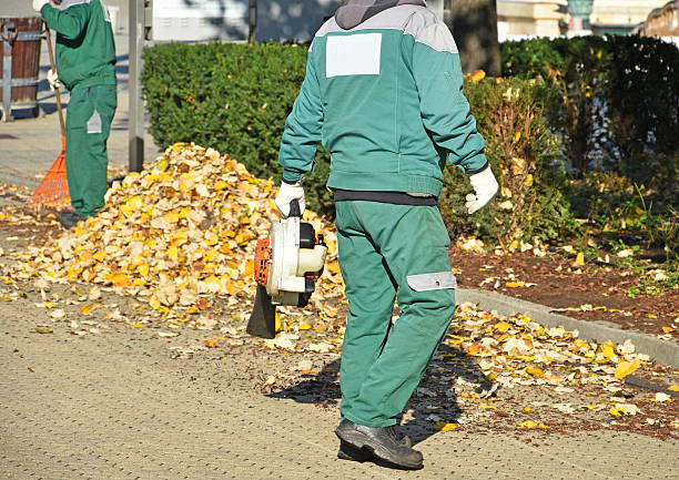 istock Street cleaners work in autumn 621367104